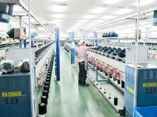 名企 三元纺织 优质纤维助力产品开发多元创新